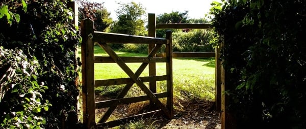 Gateways into creative activity