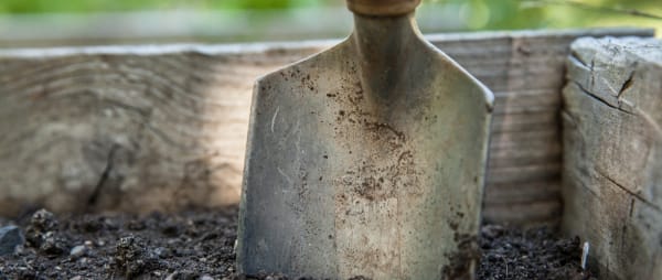 Unearthing Creativity