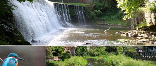 Mouth of the River - A song to celebrate the Water of Leith