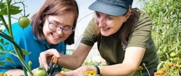 National Lottery Awards for All England – Environment fund