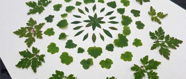 How to improve your mental health: creative mindful minutes