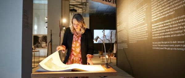 Flynn Greenhalgh | This is a FOREST