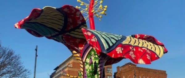 Ciára Simms | Sun Rising on Hibiscus