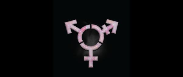 Claire Tuton | The WOW Barn: Behind the Scenes