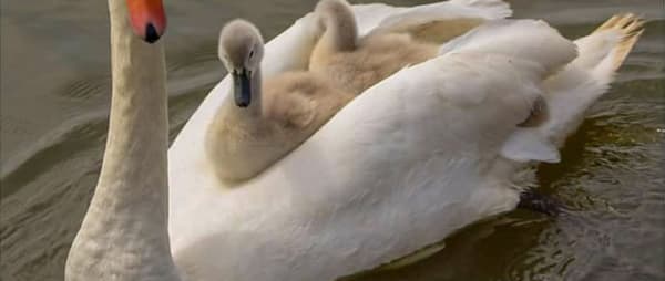 New Beginnings - An Exhibition by the People of East Anglia