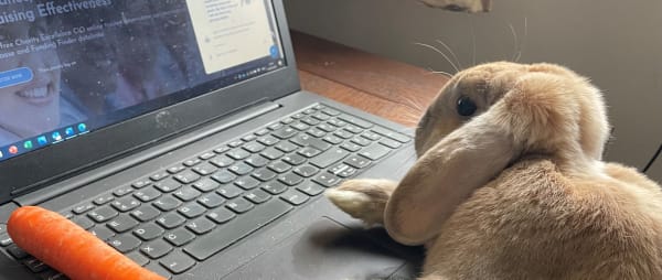 Spotlight on . . . Charity Excellence Framework