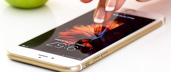 Crisis Management and Disaster Recovery