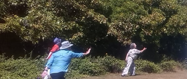 Community Dance Isle of Wight