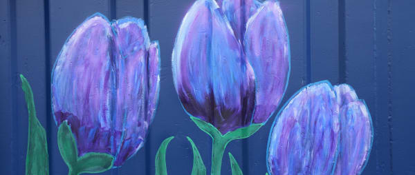 Creative Places Edenderry - Connect, Cultivate, Celebrate