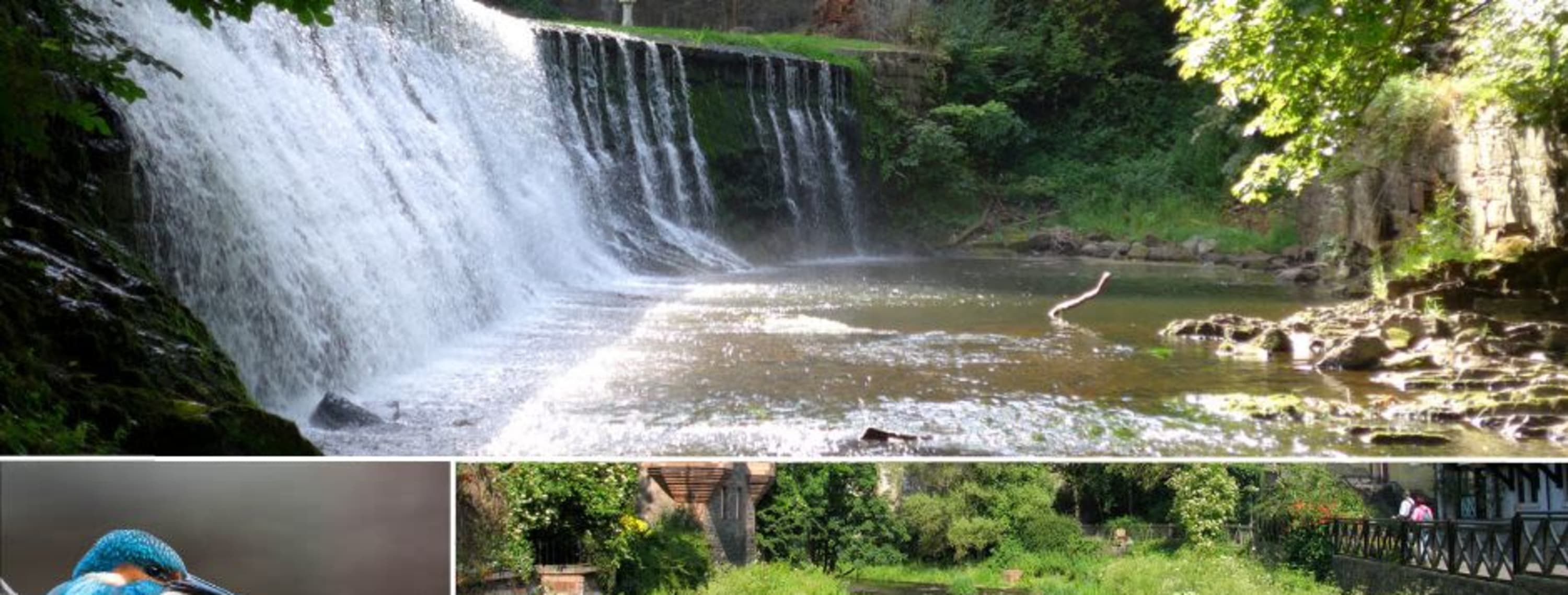 Mouth of the River - A song to celebrate the Water of Leith