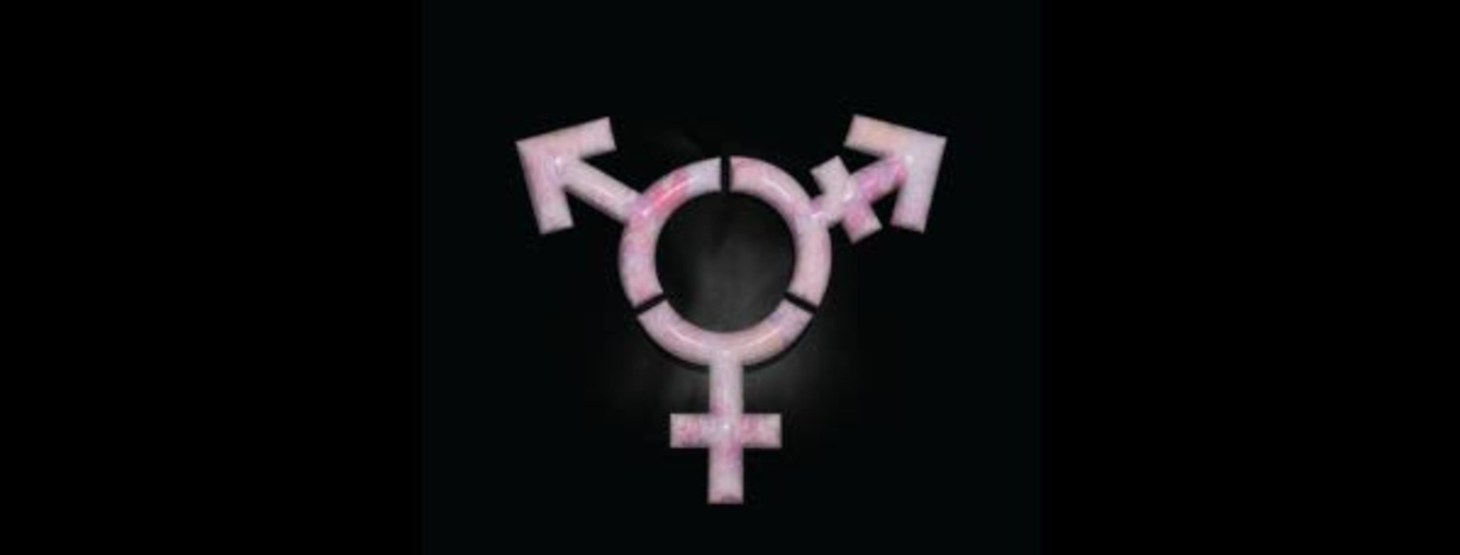 Claire Tuton | The WOW Barn: Behind the Scenes