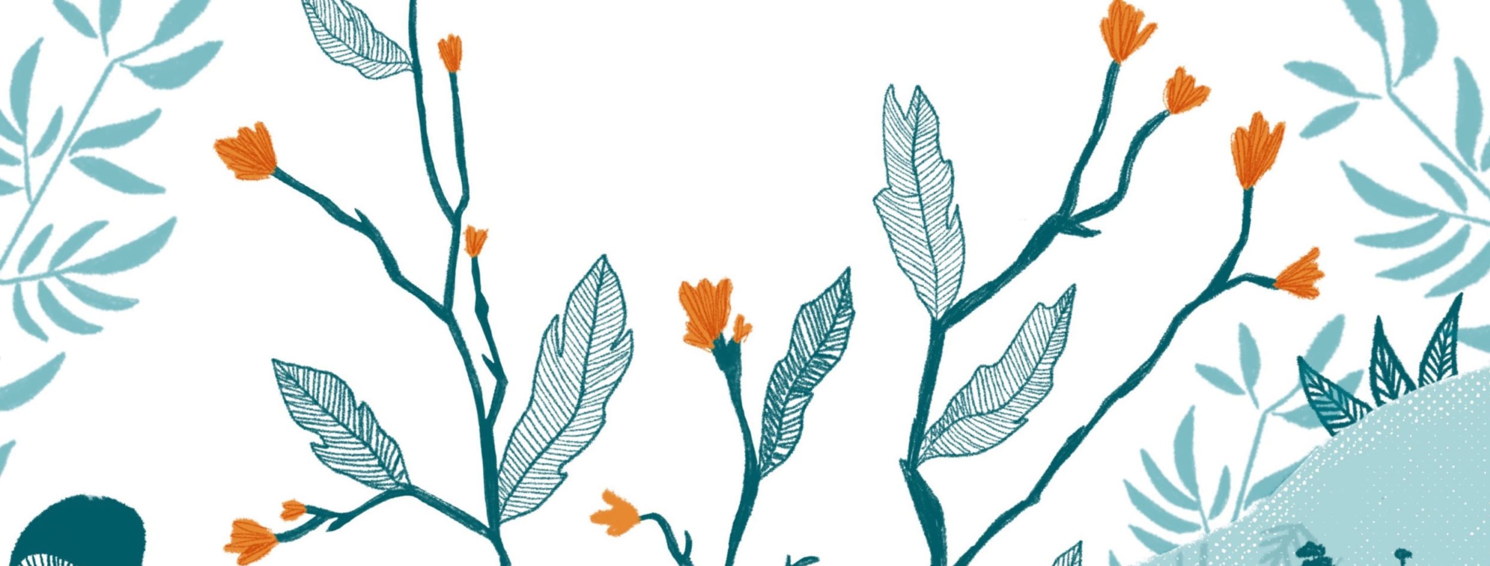 Common Ground: Rewilding the Garden