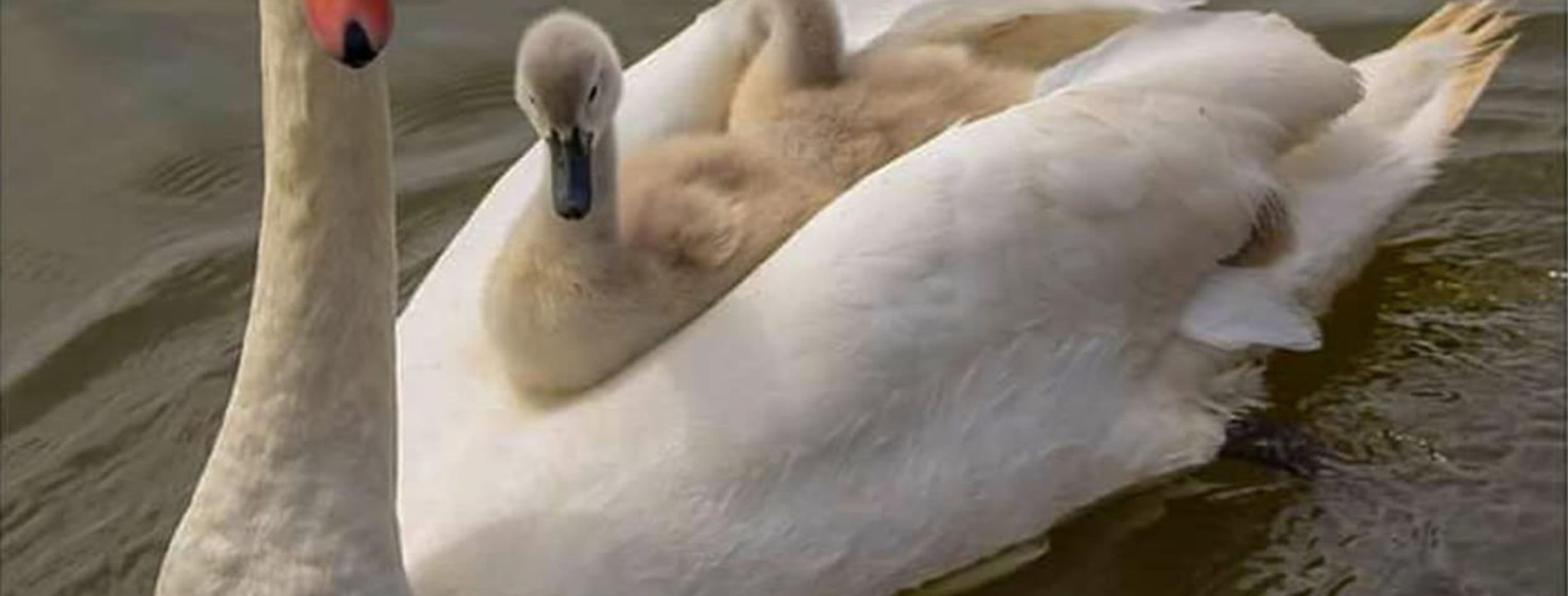 New Beginnings - An Exhibition by the People of East Anglia