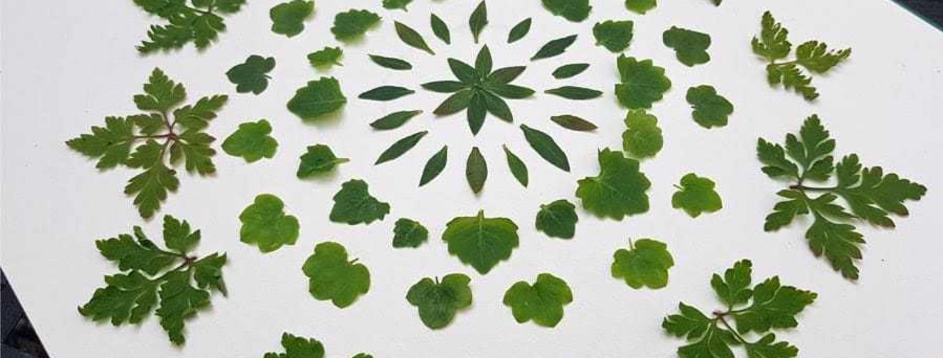 How to improve your mental health: creative mindful minutes