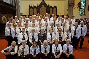 Springwell Golden Voices