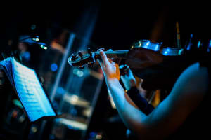 Strung Out Violin Group