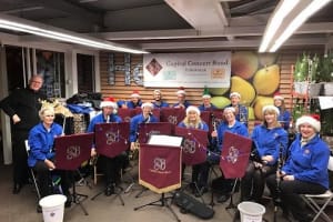 Capital Concert Band