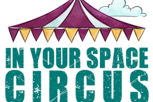 In Your Space Circus