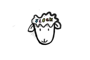 Flock Belfast
