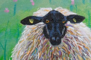 The Puffin Artist Group CIC