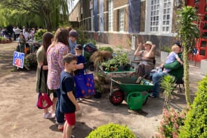 Friends of Spode Rose Garden
