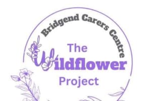 The Wildflower Art Project