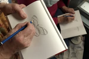 National Museum Cardiff Drawing Group